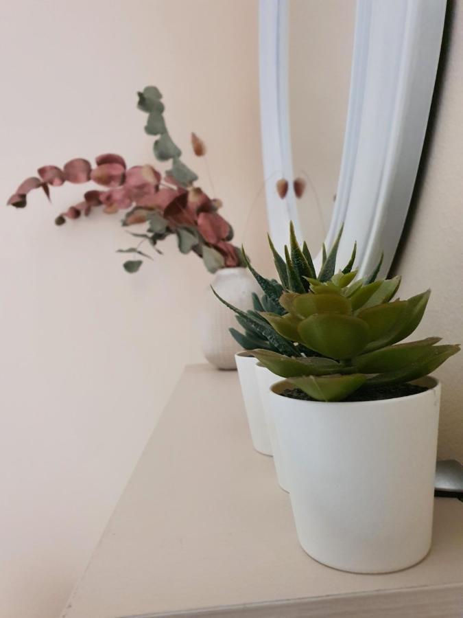 Stergios_Apartments 06 كوزاني المظهر الخارجي الصورة